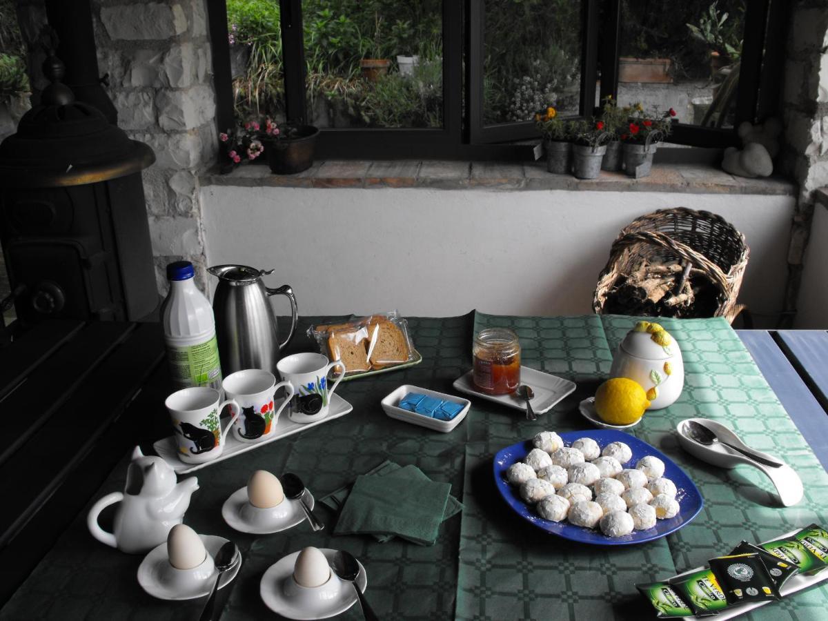 Bed And Breakfast Il Governatore Urbino Kültér fotó