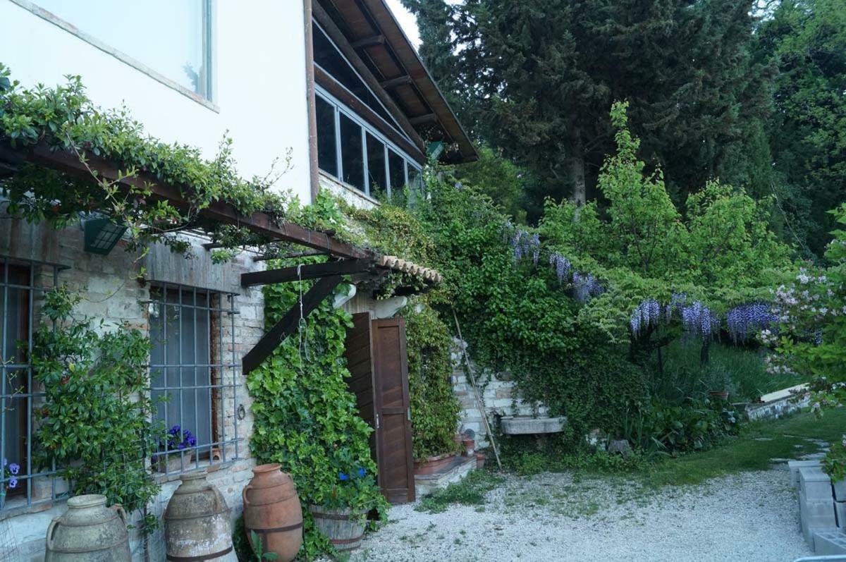 Bed And Breakfast Il Governatore Urbino Kültér fotó