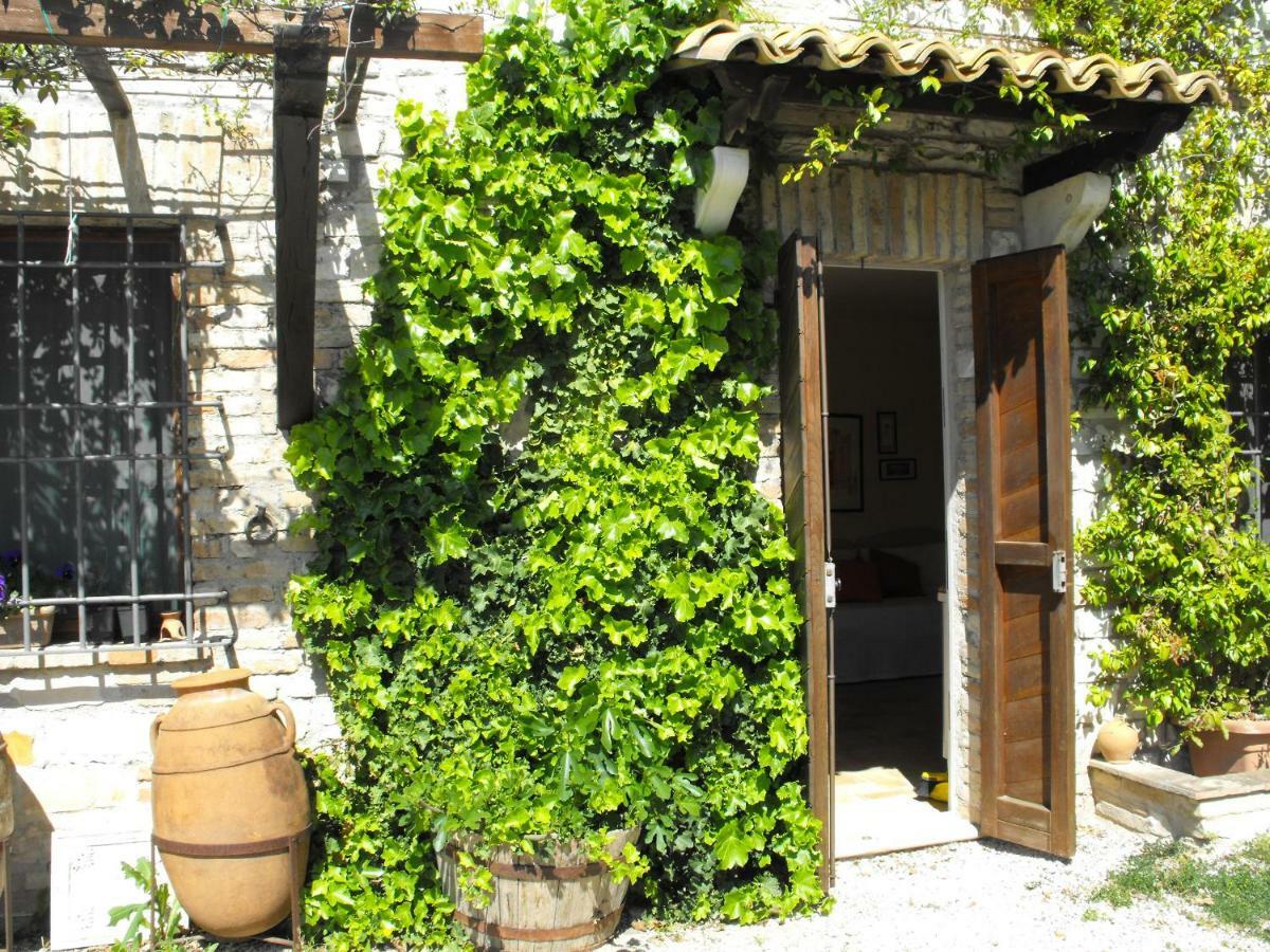 Bed And Breakfast Il Governatore Urbino Kültér fotó