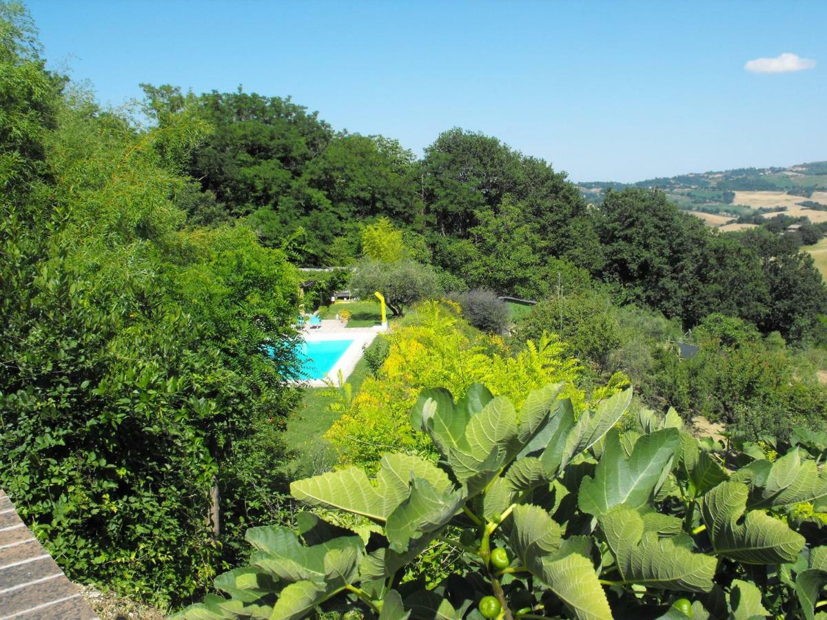 Bed And Breakfast Il Governatore Urbino Kültér fotó